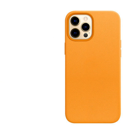 Leather Case
